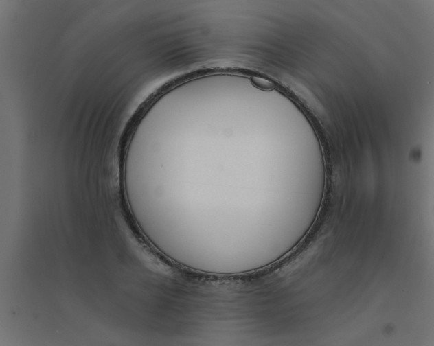 X0000094320934200711241804