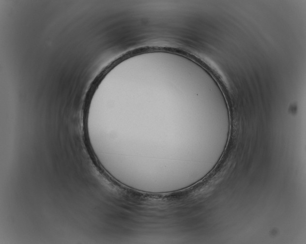 X0000094320935200711241804