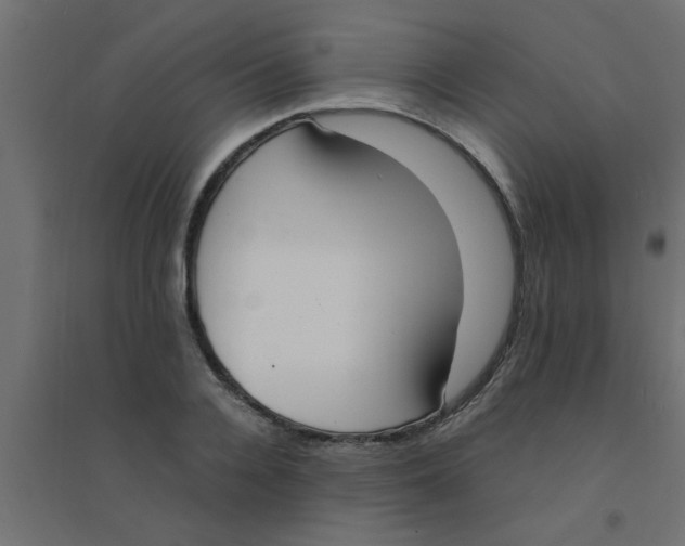 X0000094320936200711241804