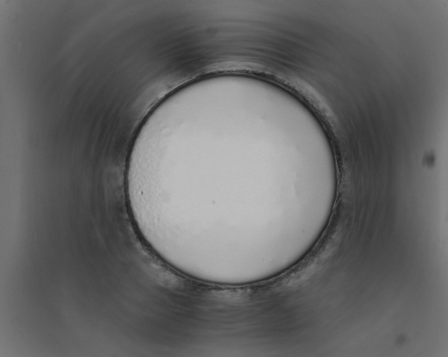 X0000094320937200711241804