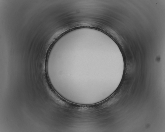 X0000094320938200711241804
