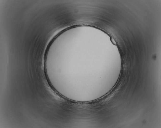 X0000094320940200711241804