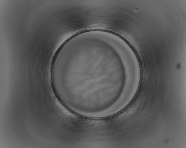 X0000094320941200711241804