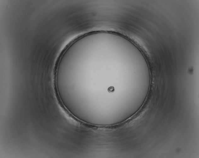 X0000094320942200711241804