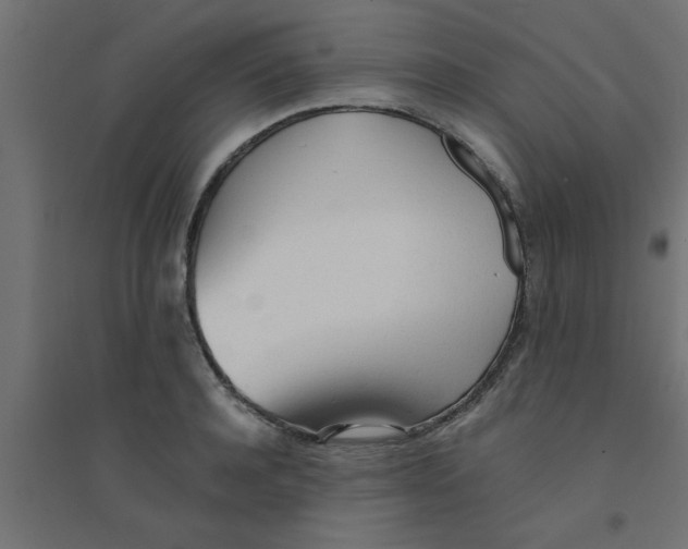 X0000094320944200711241804