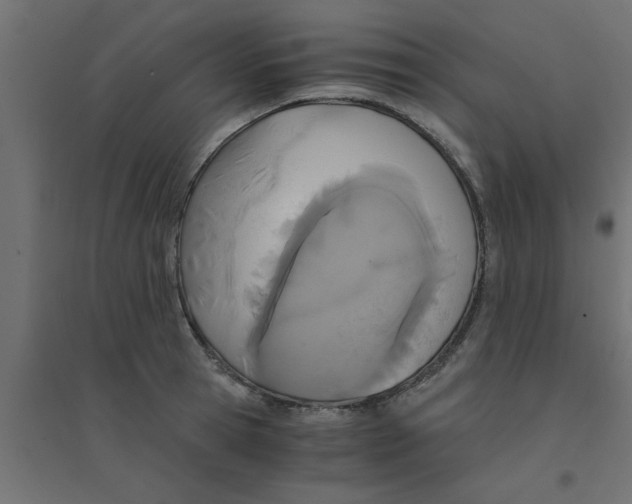 X0000094320945200711241804