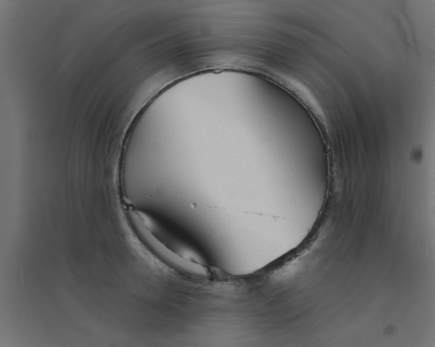 X0000094320946200711241804