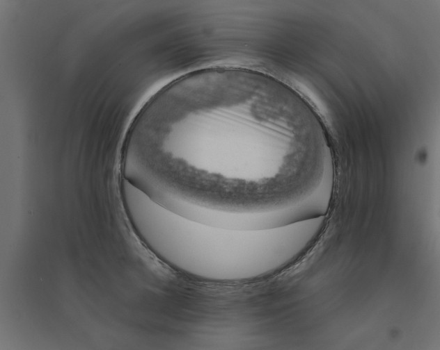 X0000094320948200711241804