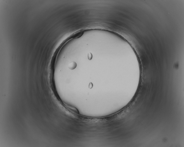 X0000094320949200711241804