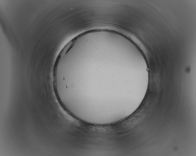 X0000094320951200711241804