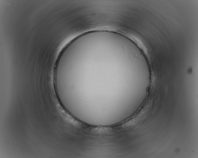X0000094320952200711241804