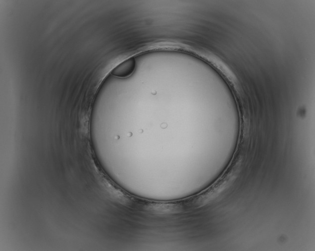 X0000094320953200711241804