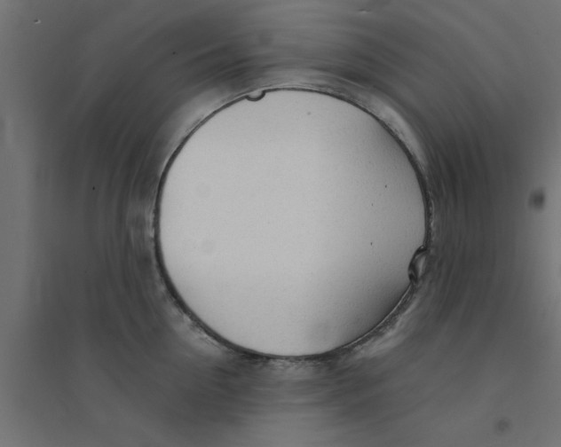 X0000094320954200711241804