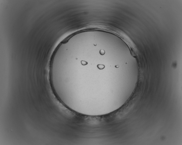X0000094320955200711241804