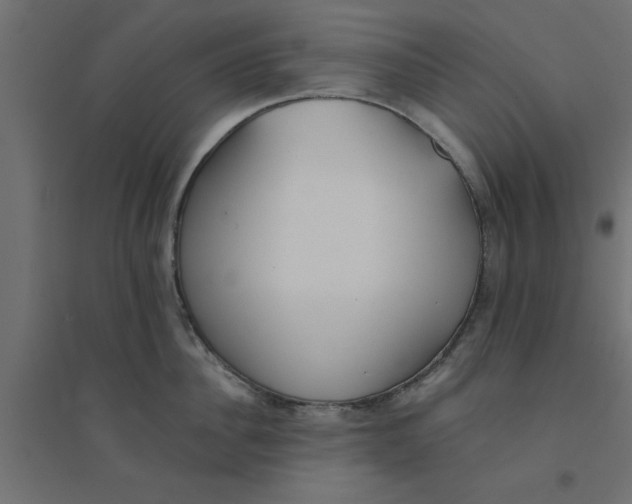 X0000094320956200711241804