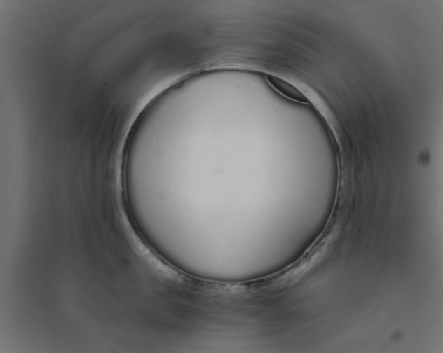 X0000094320957200711241804