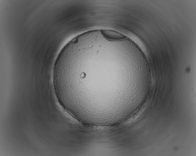 X0000094320958200711241804