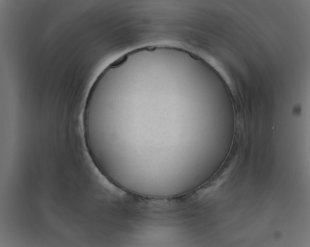 X0000094320959200711241804
