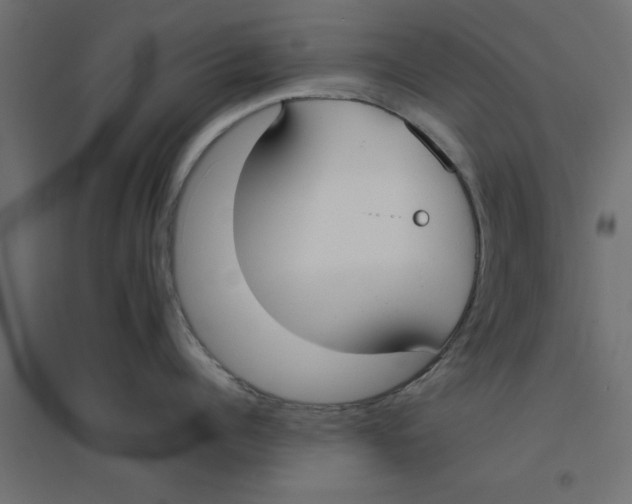 X0000094320960200711241804