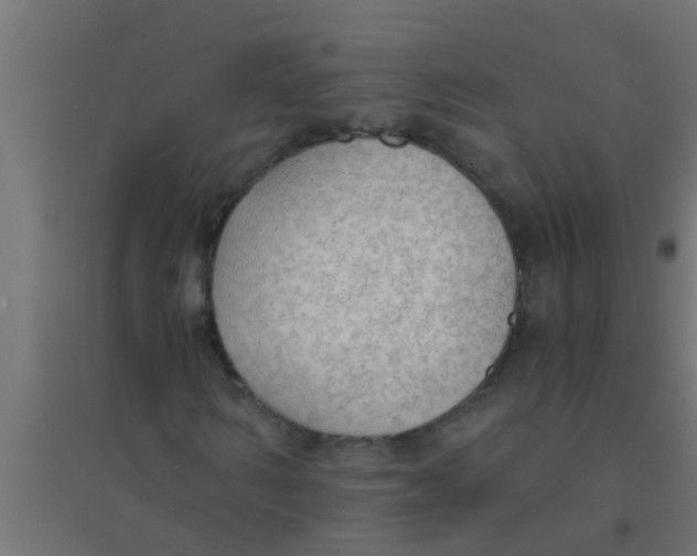 X0000094320962200711241804