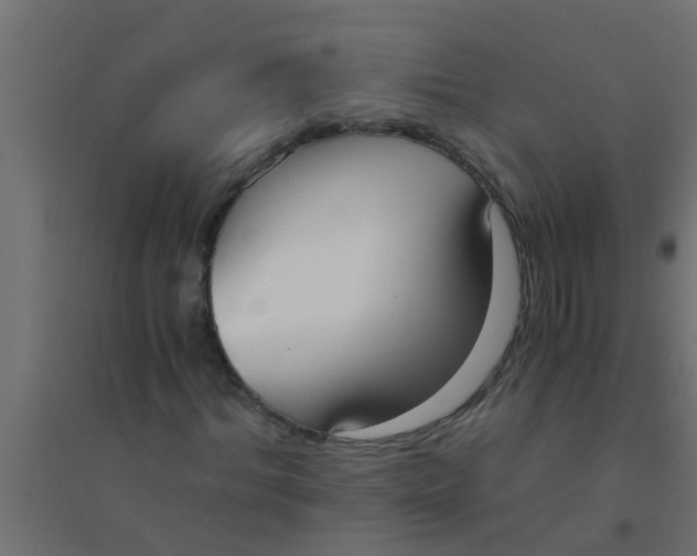 X0000094320964200711241803