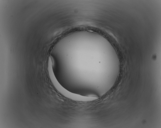 X0000094320965200711241803