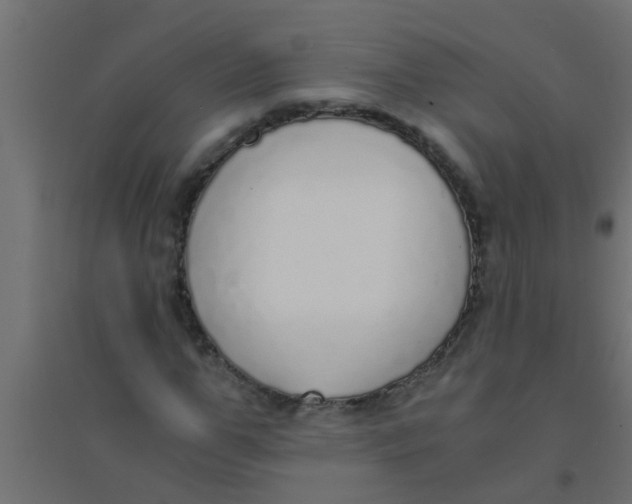X0000094320967200711241803
