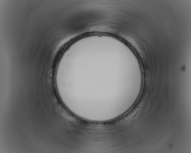 X0000094320971200711241803