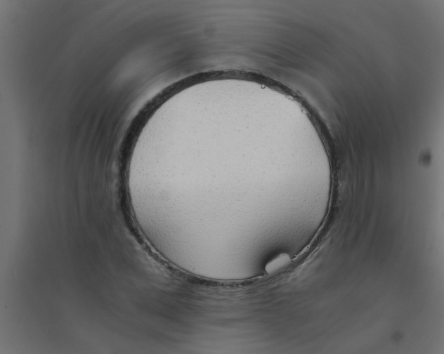 X0000094320975200711241803