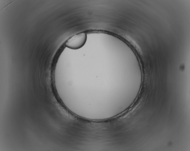 X0000094320976200711241803