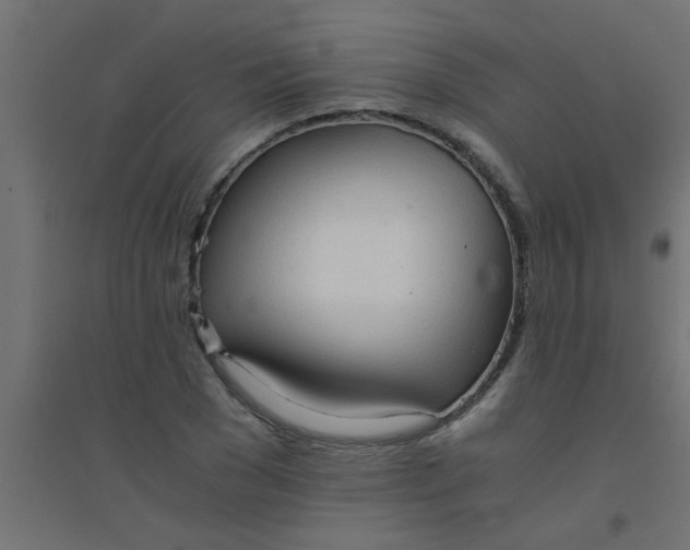 X0000094320977200711241803