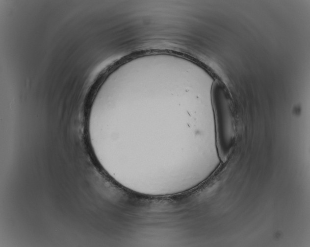 X0000094320979200711241803