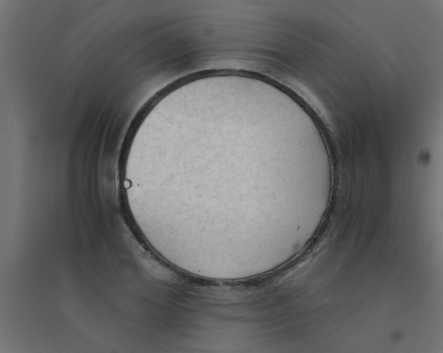 X0000094320980200711241803