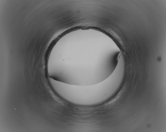 X0000094320981200711241803
