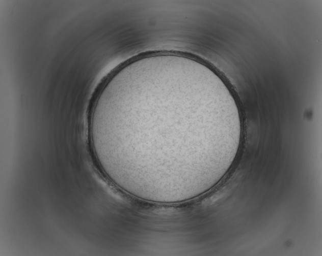 X0000094320982200711241803