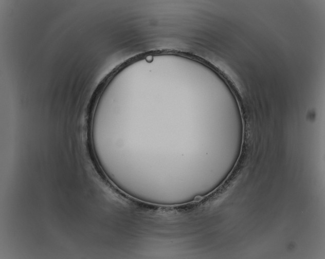 X0000094320983200711241803