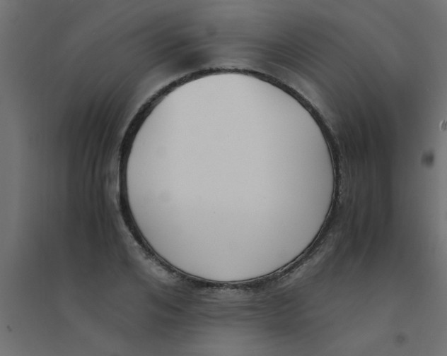 X0000094320984200711241803