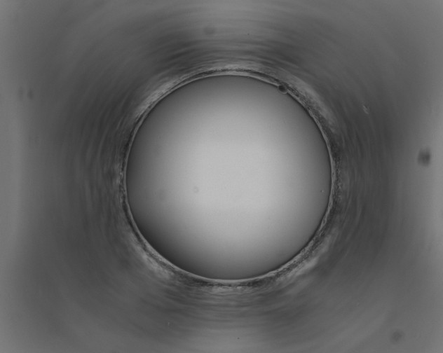 X0000094320985200711241803
