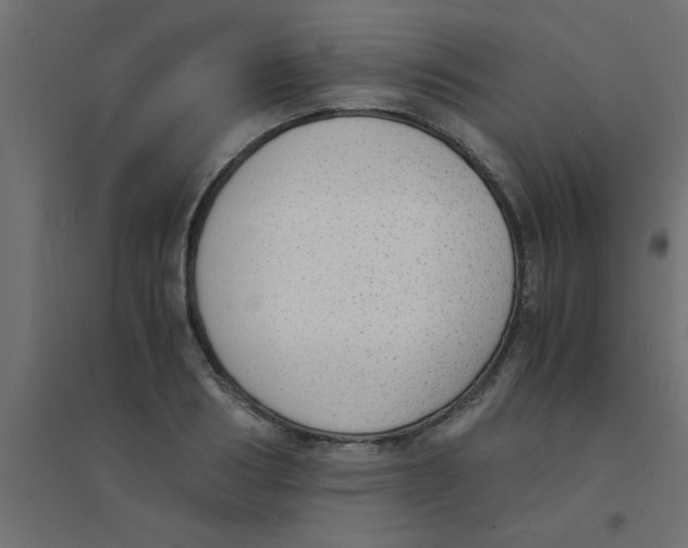 X0000094320986200711241803