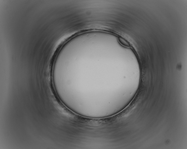 X0000094320987200711241803