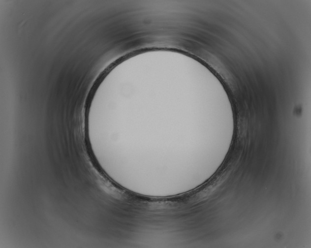 X0000094320988200711241803