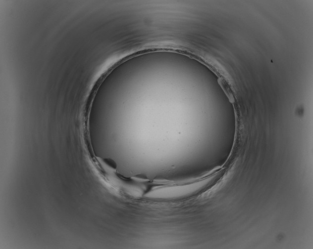 X0000094320989200711241803
