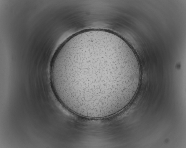 X0000094320990200711241803