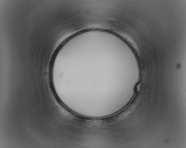 X0000094320991200711241803