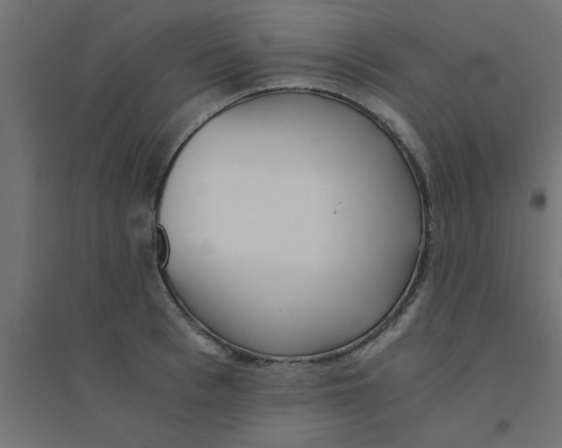 X0000094320993200711241803
