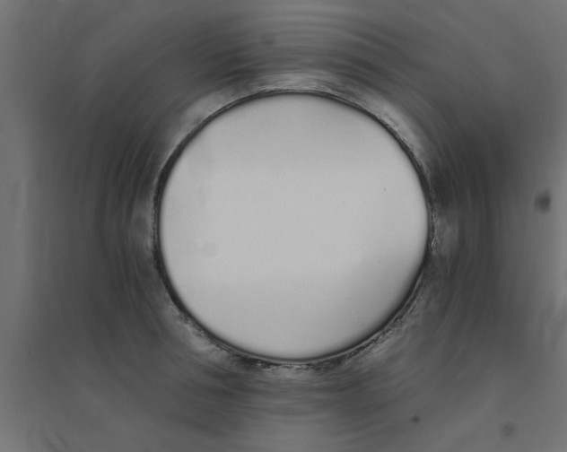 X0000094320994200711241803
