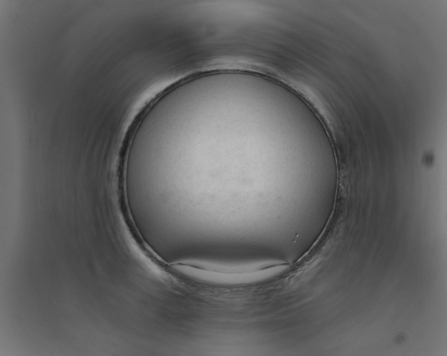 X0000094320995200711241803