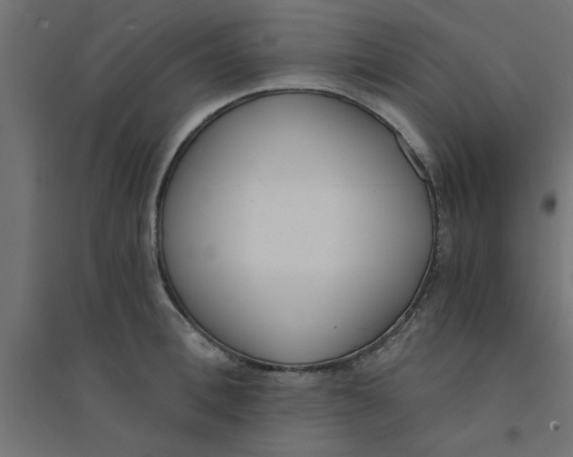 X0000094320996200711241803