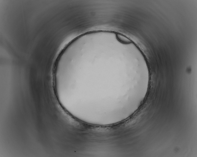 X0000094320998200711241803