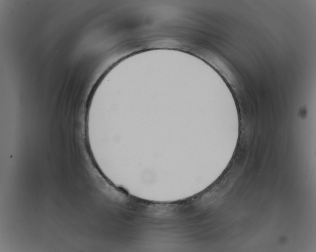 X0000094321000200711241803